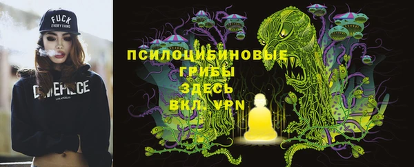 MESCALINE Бородино
