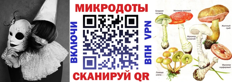 Галлюциногенные грибы Psilocybe  Купить  Котлас 